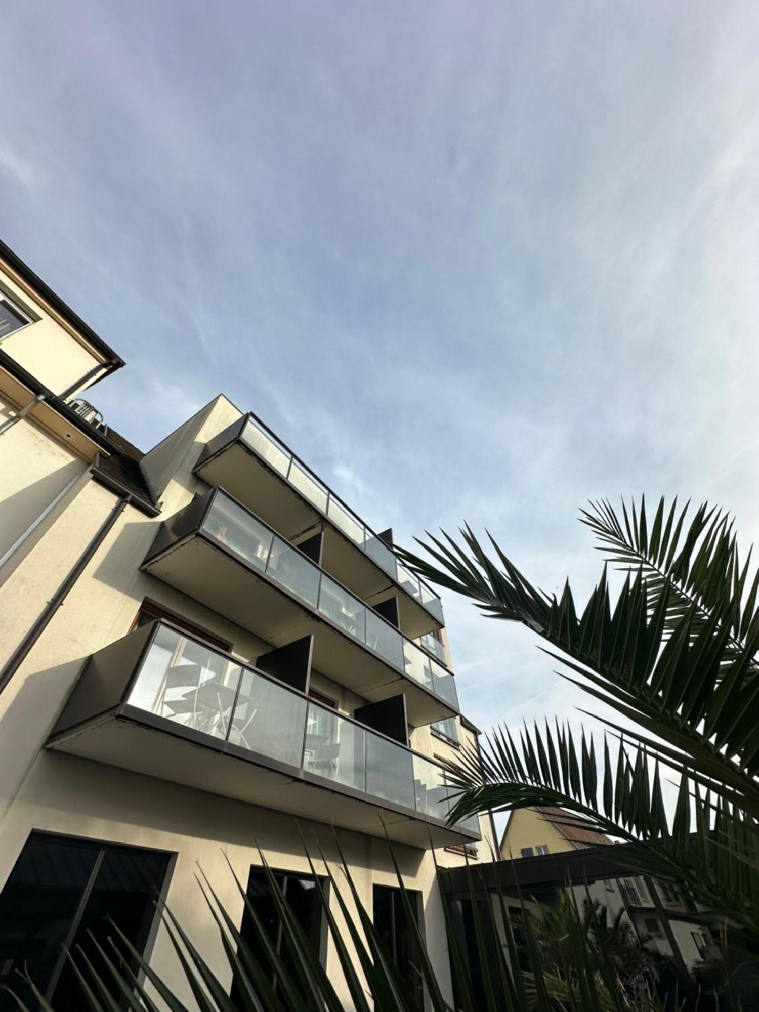 Hotel Au Nid De Cigognes Ostheim Buitenkant foto