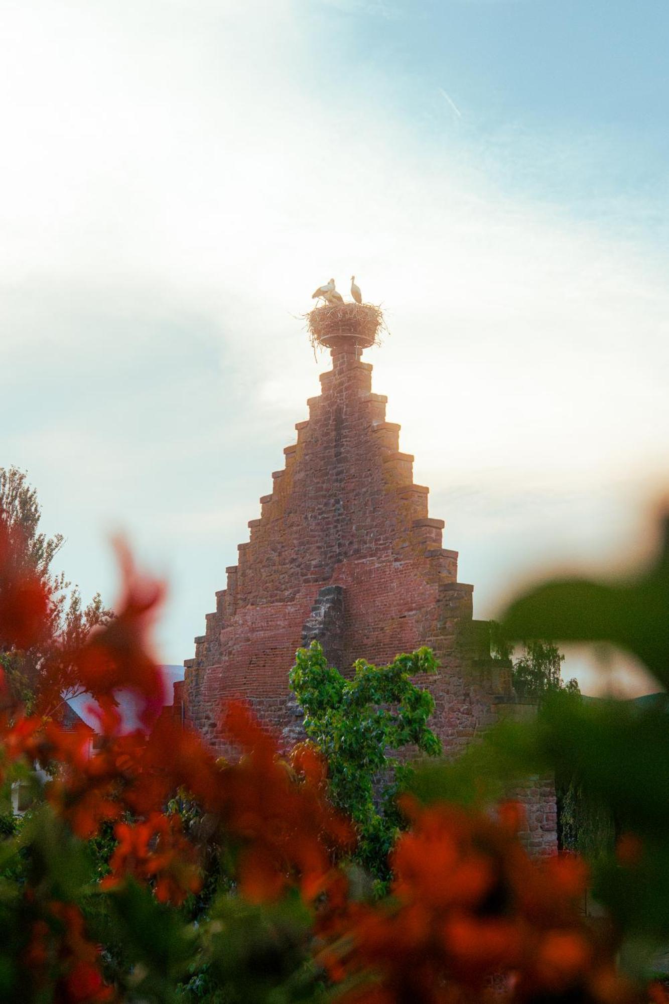 Hotel Au Nid De Cigognes Ostheim Buitenkant foto